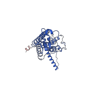 30586_7d60_J_v1-0
Cryo-EM Structure of human CALHM5 in the presence of rubidium red