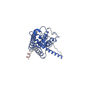 30586_7d60_K_v1-0
Cryo-EM Structure of human CALHM5 in the presence of rubidium red