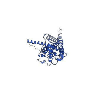 30587_7d61_A_v1-0
Cryo-EM Structure of human CALHM5 in the presence of EDTA