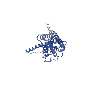 30587_7d61_B_v1-0
Cryo-EM Structure of human CALHM5 in the presence of EDTA