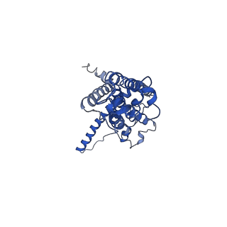 30587_7d61_C_v1-0
Cryo-EM Structure of human CALHM5 in the presence of EDTA