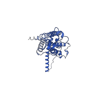 30587_7d61_D_v1-0
Cryo-EM Structure of human CALHM5 in the presence of EDTA