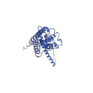 30587_7d61_E_v1-0
Cryo-EM Structure of human CALHM5 in the presence of EDTA