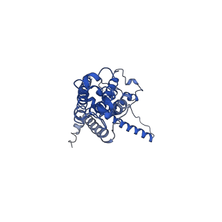 30587_7d61_F_v1-0
Cryo-EM Structure of human CALHM5 in the presence of EDTA