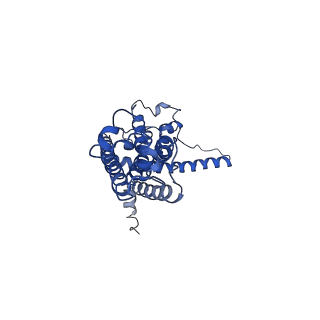 30587_7d61_G_v1-0
Cryo-EM Structure of human CALHM5 in the presence of EDTA