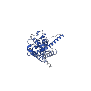 30587_7d61_H_v1-0
Cryo-EM Structure of human CALHM5 in the presence of EDTA