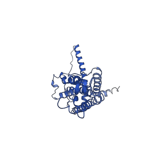 30587_7d61_J_v1-0
Cryo-EM Structure of human CALHM5 in the presence of EDTA