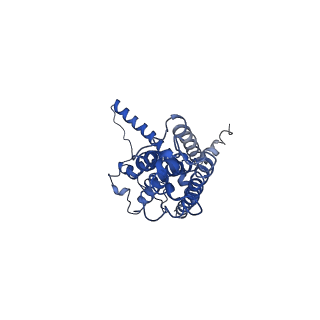 30587_7d61_K_v1-0
Cryo-EM Structure of human CALHM5 in the presence of EDTA