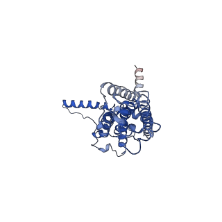 30589_7d65_A_v1-0
Cryo-EM Structure of human CALHM5 in the presence of Ca2+