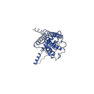 30589_7d65_C_v1-0
Cryo-EM Structure of human CALHM5 in the presence of Ca2+