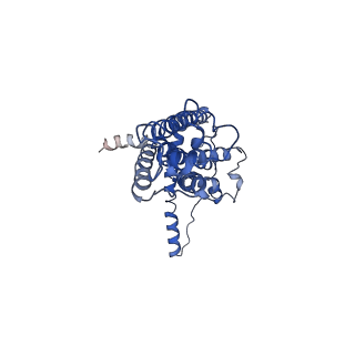 30589_7d65_D_v1-0
Cryo-EM Structure of human CALHM5 in the presence of Ca2+
