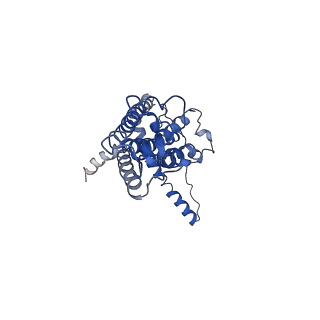 30589_7d65_E_v1-0
Cryo-EM Structure of human CALHM5 in the presence of Ca2+