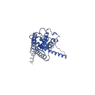 30589_7d65_F_v1-0
Cryo-EM Structure of human CALHM5 in the presence of Ca2+