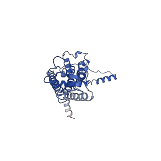 30589_7d65_G_v1-0
Cryo-EM Structure of human CALHM5 in the presence of Ca2+