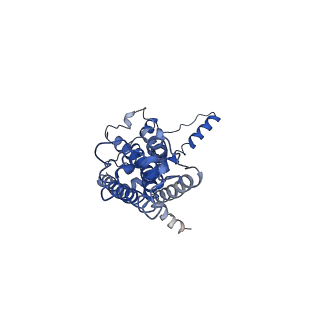 30589_7d65_H_v1-0
Cryo-EM Structure of human CALHM5 in the presence of Ca2+