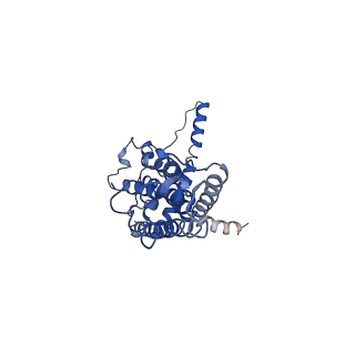 30589_7d65_I_v1-0
Cryo-EM Structure of human CALHM5 in the presence of Ca2+