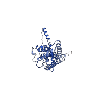 30589_7d65_J_v1-0
Cryo-EM Structure of human CALHM5 in the presence of Ca2+