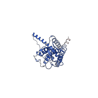 30589_7d65_K_v1-0
Cryo-EM Structure of human CALHM5 in the presence of Ca2+