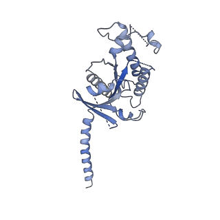 30590_7d68_A_v1-0
Cryo-EM structure of the human glucagon-like peptide-2 receptor-Gs protein complex