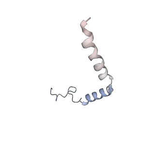 30590_7d68_G_v1-0
Cryo-EM structure of the human glucagon-like peptide-2 receptor-Gs protein complex