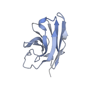 30590_7d68_N_v1-0
Cryo-EM structure of the human glucagon-like peptide-2 receptor-Gs protein complex