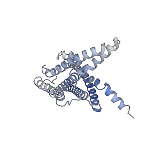 30590_7d68_R_v1-0
Cryo-EM structure of the human glucagon-like peptide-2 receptor-Gs protein complex