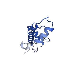 30591_7d69_C_v1-1
Cryo-EM structure of the nucleosome containing Giardia histones