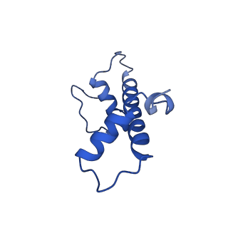 30591_7d69_G_v1-1
Cryo-EM structure of the nucleosome containing Giardia histones