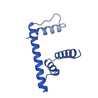 30591_7d69_H_v1-1
Cryo-EM structure of the nucleosome containing Giardia histones