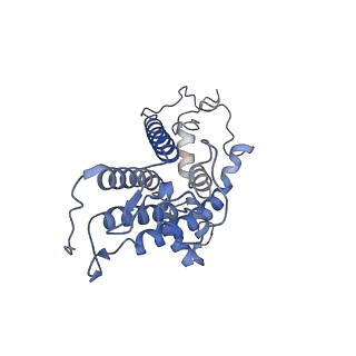 30594_7d6v_C_v1-1
Mycobacterium smegmatis Sdh1 in complex with UQ1