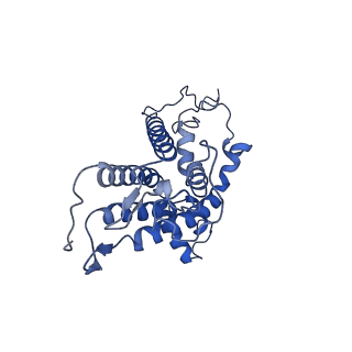 30595_7d6x_C_v1-1
Mycobacterium smegmatis Sdh1 complex in the apo form