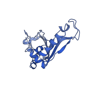 30598_7d6z_F_v1-1
Molecular model of the cryo-EM structure of 70S ribosome in complex with peptide deformylase and trigger factor