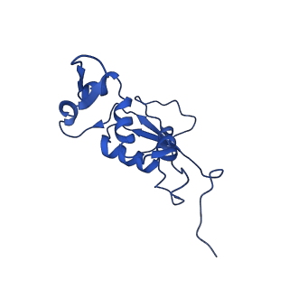 30598_7d6z_J_v1-1
Molecular model of the cryo-EM structure of 70S ribosome in complex with peptide deformylase and trigger factor