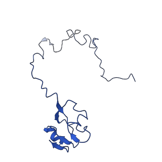 30598_7d6z_L_v1-1
Molecular model of the cryo-EM structure of 70S ribosome in complex with peptide deformylase and trigger factor