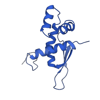 30598_7d6z_N_v1-1
Molecular model of the cryo-EM structure of 70S ribosome in complex with peptide deformylase and trigger factor