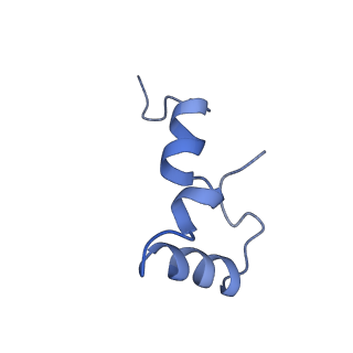 30598_7d6z_c_v1-1
Molecular model of the cryo-EM structure of 70S ribosome in complex with peptide deformylase and trigger factor