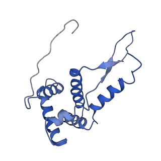 30598_7d6z_n_v1-1
Molecular model of the cryo-EM structure of 70S ribosome in complex with peptide deformylase and trigger factor