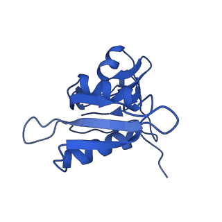 30598_7d6z_o_v1-1
Molecular model of the cryo-EM structure of 70S ribosome in complex with peptide deformylase and trigger factor