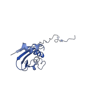 30598_7d6z_p_v1-1
Molecular model of the cryo-EM structure of 70S ribosome in complex with peptide deformylase and trigger factor