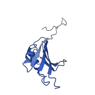 30598_7d6z_r_v1-1
Molecular model of the cryo-EM structure of 70S ribosome in complex with peptide deformylase and trigger factor