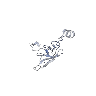 30598_7d6z_s_v1-1
Molecular model of the cryo-EM structure of 70S ribosome in complex with peptide deformylase and trigger factor