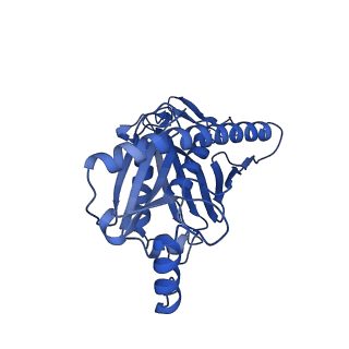 7808_6d6q_A_v1-2
Human nuclear exosome-MTR4 RNA complex - overall reconstruction