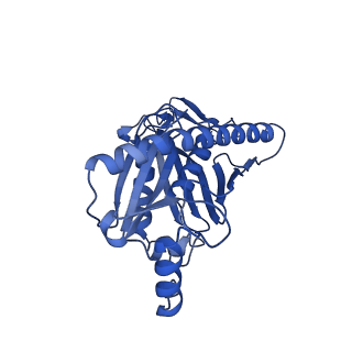 7808_6d6q_A_v1-3
Human nuclear exosome-MTR4 RNA complex - overall reconstruction