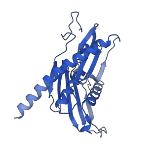 7808_6d6q_B_v1-2
Human nuclear exosome-MTR4 RNA complex - overall reconstruction