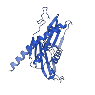 7808_6d6q_B_v1-3
Human nuclear exosome-MTR4 RNA complex - overall reconstruction