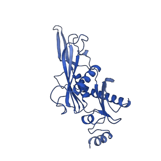 7808_6d6q_C_v1-3
Human nuclear exosome-MTR4 RNA complex - overall reconstruction