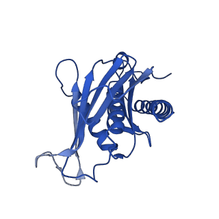 7808_6d6q_D_v1-2
Human nuclear exosome-MTR4 RNA complex - overall reconstruction