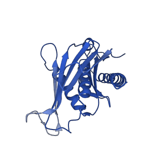 7808_6d6q_D_v1-3
Human nuclear exosome-MTR4 RNA complex - overall reconstruction