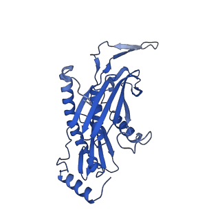 7808_6d6q_E_v1-2
Human nuclear exosome-MTR4 RNA complex - overall reconstruction