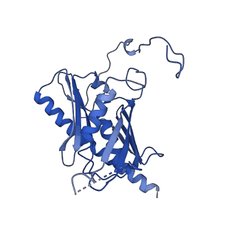 7808_6d6q_F_v1-2
Human nuclear exosome-MTR4 RNA complex - overall reconstruction